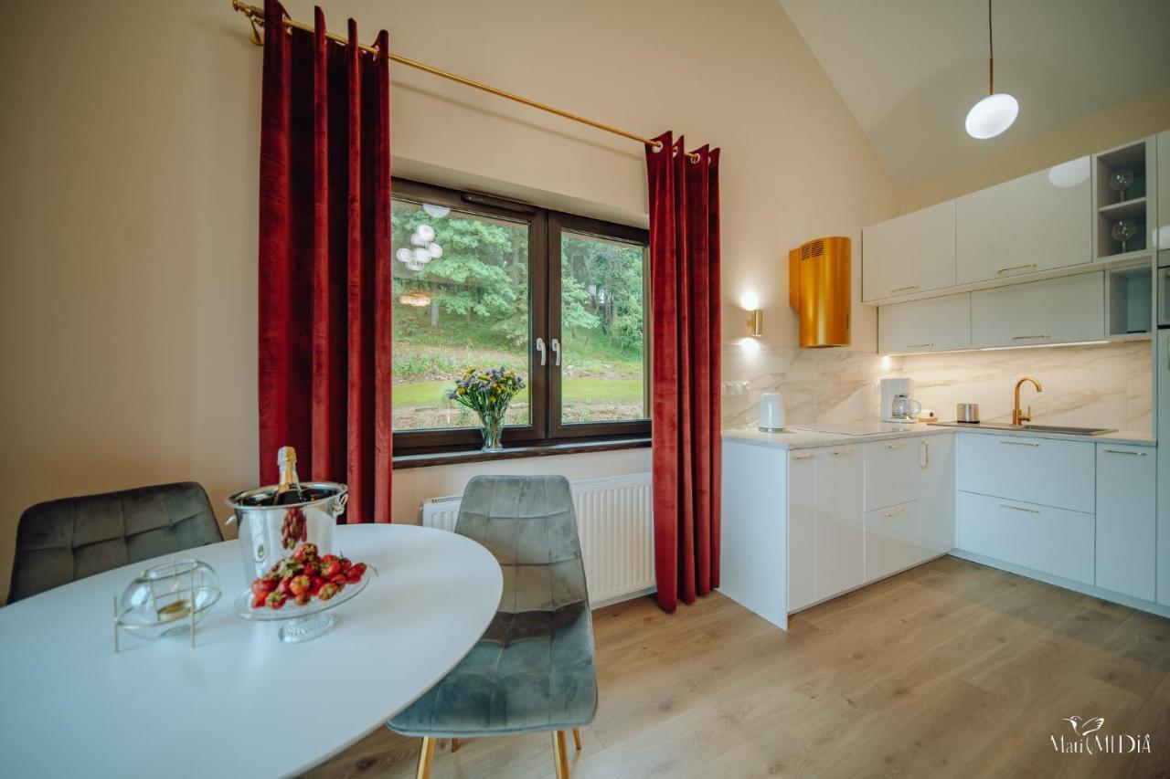 Apartament Silence Karpatia Resort Delux Z Wanna Karpacz Εξωτερικό φωτογραφία